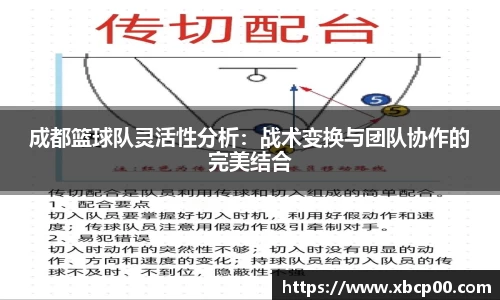 成都篮球队灵活性分析：战术变换与团队协作的完美结合